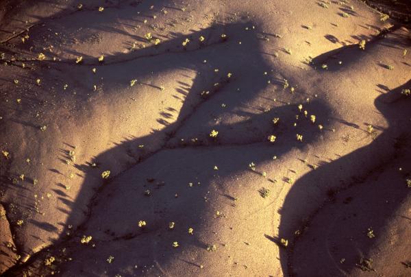 MacDonnell Ranges, East MacDonnell National Park, Northern Territory © Tourism Australia
