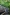 Kuranda Scenic Railway, Kuranda, Queensland © Tourism and Events Queensland