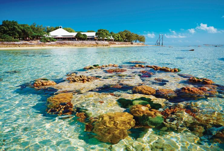 Heron Island, Great Barrier Reef, Queensland © Paul Giggle, Tourism and Events Queensland Heron Island, Great Barrier Reef, Queensland © Paul Giggle, Tourism and Events Queensland