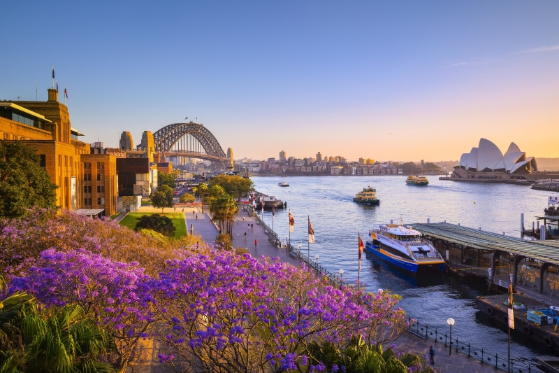 Jacarandas und Sydney Harbour bei Sonnenuntergang, Sydney, New South Wales © Destination NSW Jacarandas und Sydney Harbour bei Sonnenuntergang, Sydney, New South Wales © Destination NSW