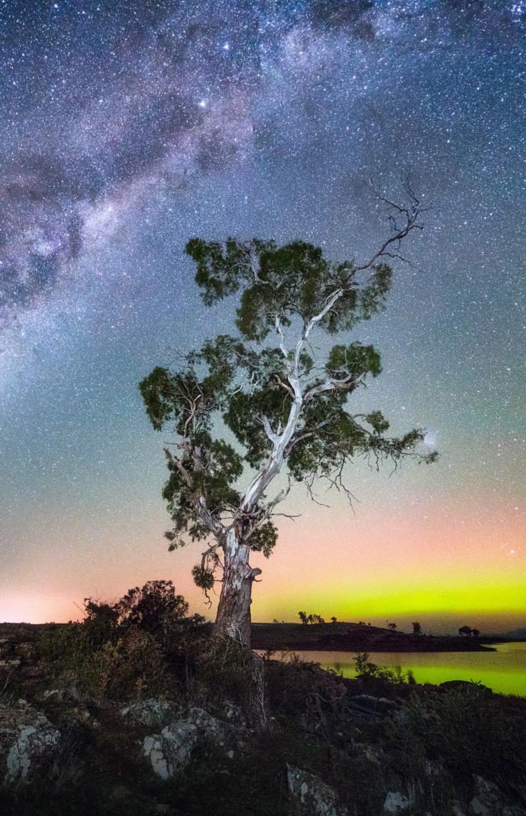 Aurora Australis, Tasmanien © Luke Tscharke