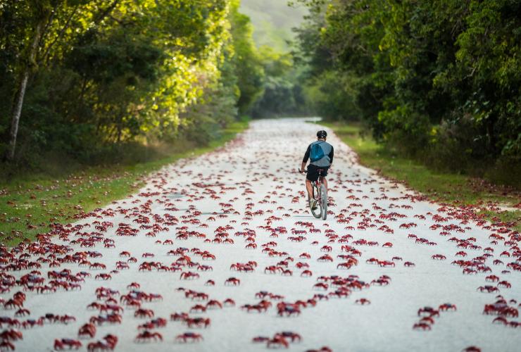 Crab Rider, Weihnachtsinsel © Christmas Island Tourism Association Crab Rider, Weihnachtsinsel © Christmas Island Tourism Association