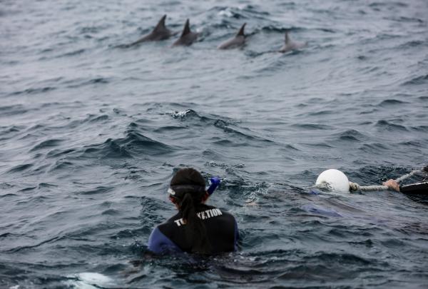 Temptation Sailing, Glenelg, Südaustralien © Tourism Australia