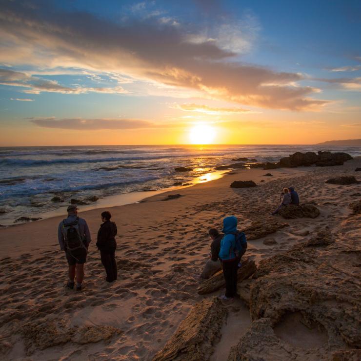 Twelve Apostles Lodge Walk, Johanna Beach, Great Ocean Road, Victoria © Twelve Apostles Lodge Walk/Great Walks of Australia Twelve Apostles Lodge Walk, Johanna Beach, Great Ocean Road, Victoria © Twelve Apostles Lodge Walk/Great Walks of Australia