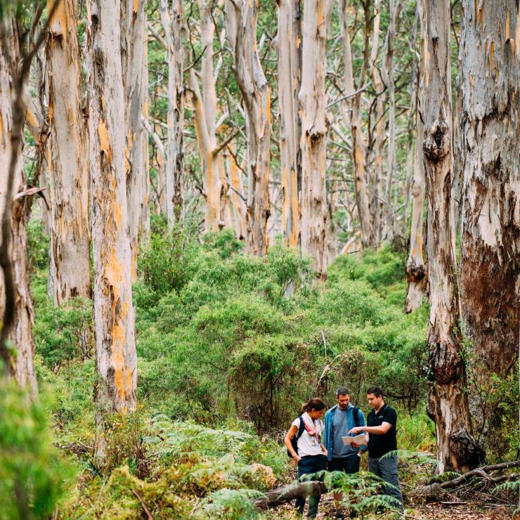 Cape to Cape Track, Margaret River, Westaustralien © Walk into Luxury Cape to Cape Track, Margaret River, Westaustralien © Walk into Luxury