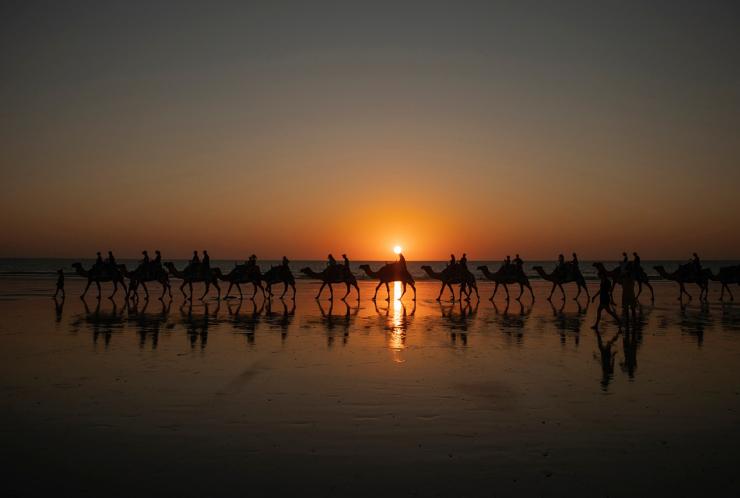 Kamelkarawane am Cable Beach bei Sonnenuntergang in Broome © Tourism Australia