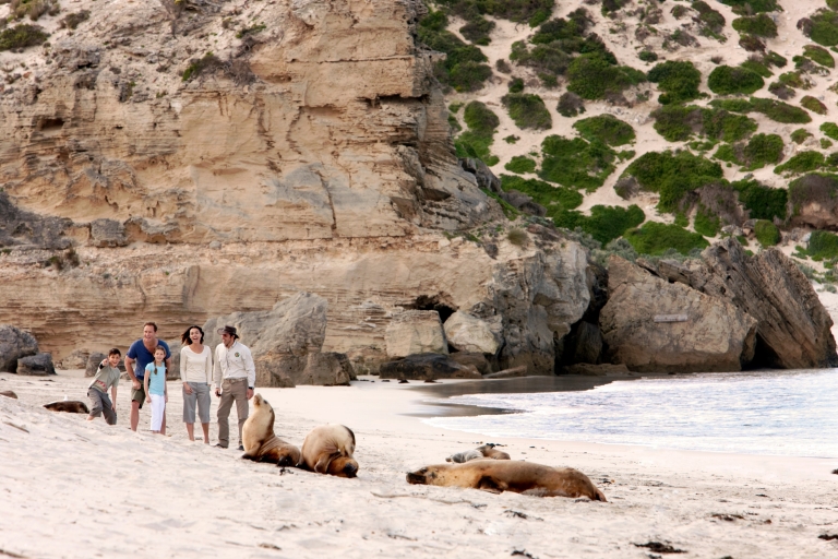 Seal Bay, Kangaroo Island, Südaustralien © Tourism Australia Seal Bay, Kangaroo Island, Südaustralien © Tourism Australia