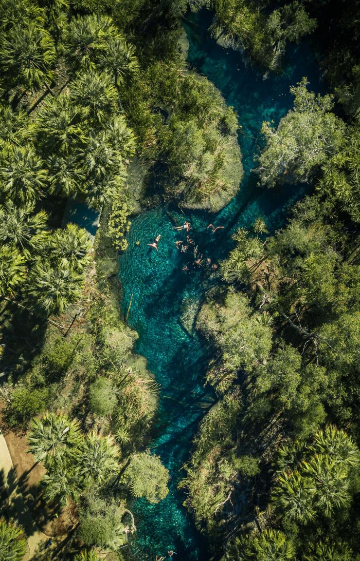 Luftaufnahme einer Gruppe von Personen, die im glitzernden blauen Wasser von Bitter Springs neben einem Baldachin aus Palmen schwimmen, Mataranka, Northern Territory © Tourism NT/Jason Charles Hill Luftaufnahme einer Gruppe von Personen, die im glitzernden blauen Wasser von Bitter Springs neben einem Baldachin aus Palmen schwimmen, Mataranka, Northern Territory © Tourism NT/Jason Charles Hill