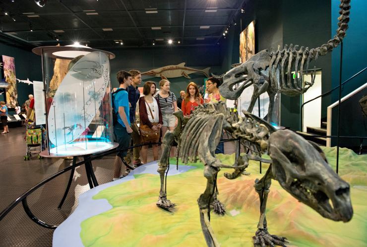 Animal skeletons at the Museum and Art Gallery of the Northern Territory in Darwin ©Tourism NT/Shaana McNaught Animal skeletons at the Museum and Art Gallery of the Northern Territory in Darwin ©Tourism NT/Shaana McNaught