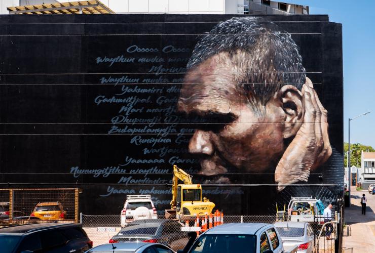 Dr G Yunupingu mural in Darwin © Tourism NT/Darwin Street Art Festival/Jesse Bell and Andrew Bourke Dr G Yunupingu mural in Darwin © Tourism NT/Darwin Street Art Festival/Jesse Bell and Andrew Bourke
