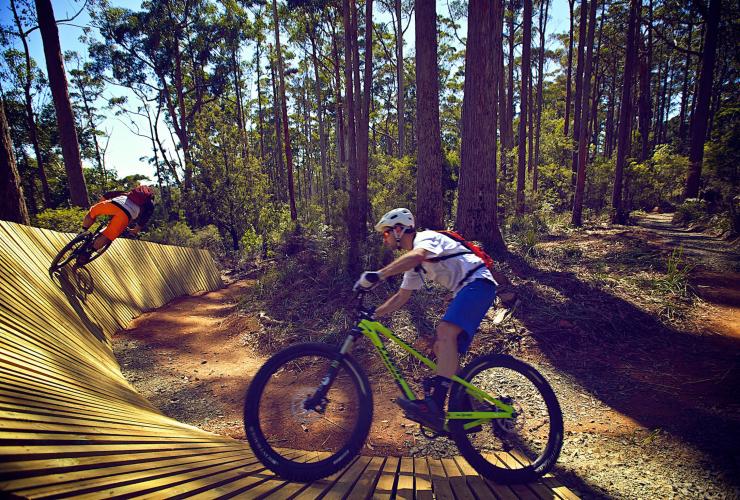 Hollybank Mountain Bike Park, Underwood, TAS © Tourism Tasmania & supplied courtesy of Flow Mountain Bike Hollybank Mountain Bike Park, Underwood, TAS © Tourism Tasmania & supplied courtesy of Flow Mountain Bike