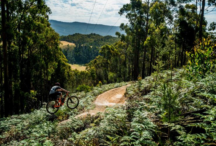 Wild Mersey Mountain Bike Trails, Latrobe, TAS © Revolution MTB Wild Mersey Mountain Bike Trails, Latrobe, TAS © Revolution MTB