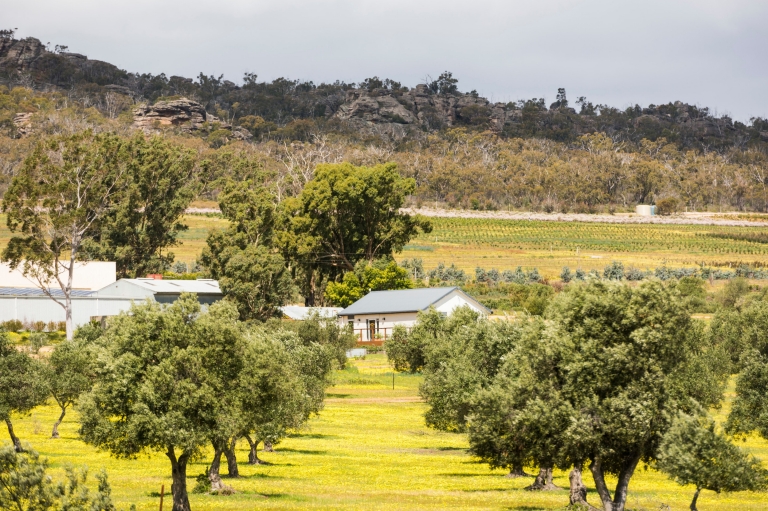 Grampians Olive Co, Grampians National Park, Victoria © Rob Blackburn Photography Grampians Olive Co, Grampians National Park, Victoria © Rob Blackburn Photography