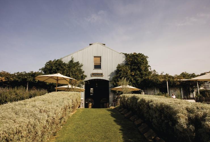 Lowe Wines, Mudgee, NSW © Destination NSW Lowe Wines, Mudgee, NSW © Destination NSW