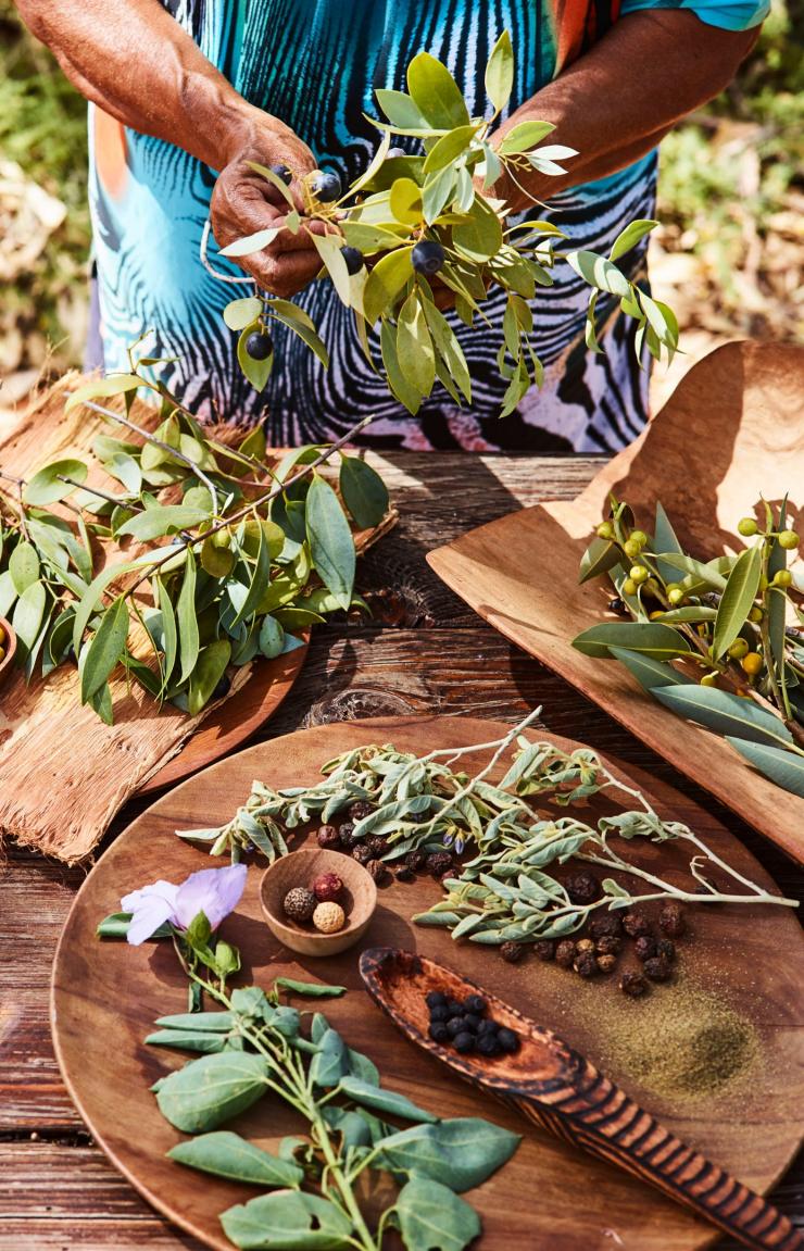 Native ingredients on a table at Ayers Rock Resort © Voyages Native ingredients on a table at Ayers Rock Resort © Voyages