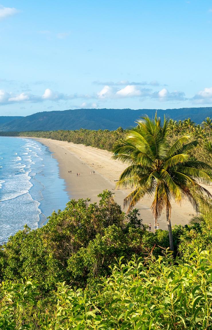 Aerial view of beach, Port Douglas, Queensland © Tourism Australia Aerial view of beach, Port Douglas, Queensland © Tourism Australia