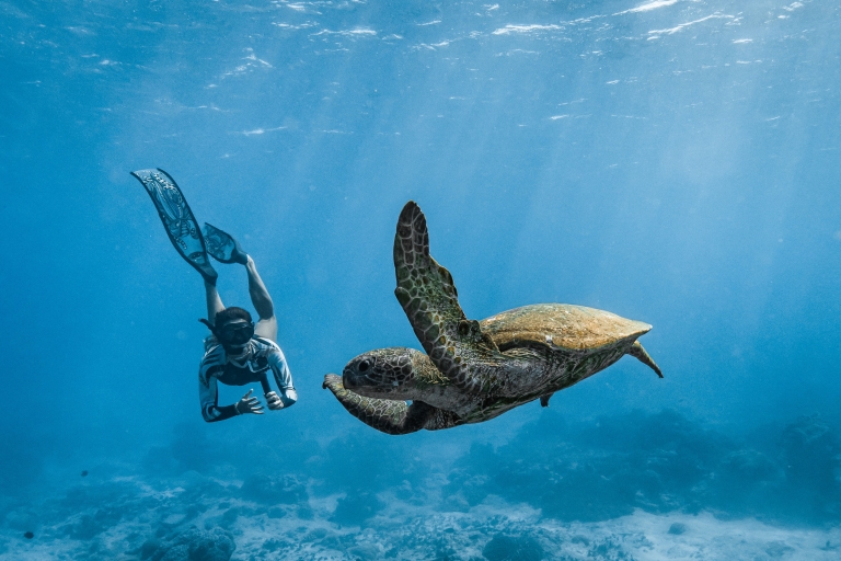 Scuba diver and turtle underwater, Cocos (Keeling) Islands © Cocos Keeling Islands Tourism Association Scuba diver and turtle underwater, Cocos (Keeling) Islands © Cocos Keeling Islands Tourism Association