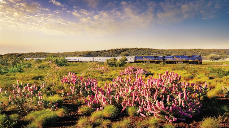 Indian Pacific, Adelaide, SA © Journey Beyond Indian Pacific, Adelaide, SA © Journey Beyond