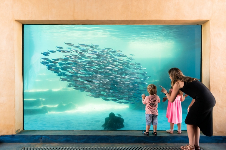 Aquarium of Western Australia, Perth, Western Australia © AQWA Aquarium of Western Australia, Perth, Western Australia © AQWA