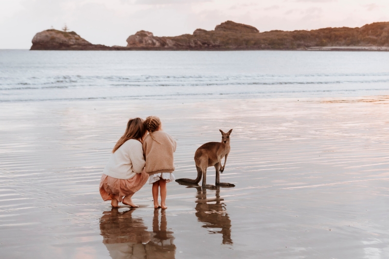 Cape Hillsborough, Mackay Region, Queensland © Tourism and Events Queensland  Cape Hillsborough, Mackay Region, Queensland © Tourism and Events Queensland