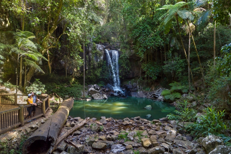 Couple look out at Curtis Falls waterfall in Tamborine National Park © Destination Gold Coast Couple look out at Curtis Falls waterfall in Tamborine National Park © Destination Gold Coast