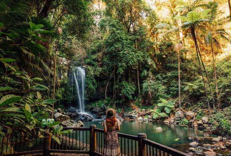 Woman admires Curtis Falls waterfall in Tamborine National Park © Tourism and Events Queensland Woman admires Curtis Falls waterfall in Tamborine National Park © Tourism and Events Queensland