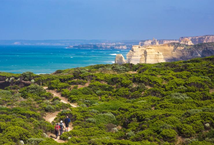Hikers walk the trail along the Twelve Apostles Lodge Walk © Twelve Apostles Lodge Walk/Great Walks of Australia Hikers walk the trail along the Twelve Apostles Lodge Walk © Twelve Apostles Lodge Walk/Great Walks of Australia