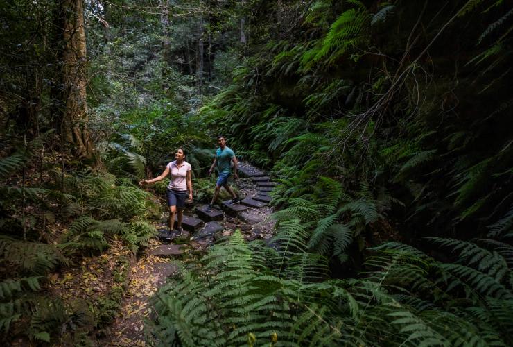 Grand Canyon Walking Track, Blue Mountains, New South Wales © Destination NSW Grand Canyon Walking Track, Blue Mountains, New South Wales © Destination NSW