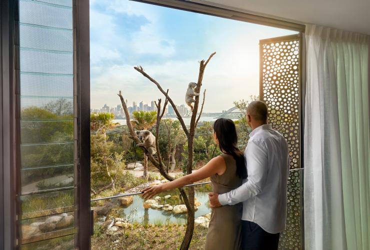 Animal view room at Wildlife Retreat at Taronga Zoo © Taronga Zoo Animal view room at Wildlife Retreat at Taronga Zoo © Taronga Zoo