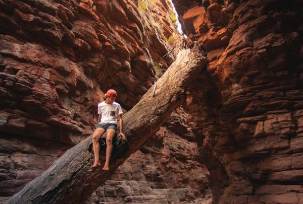 Alligator Gorge, Flinders Ranges, SA © Mitchell Toft