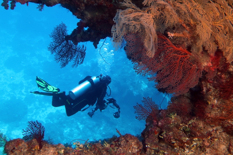 Holmes Reef with Mike Ball Dive Expeditions, Great Barrier Reef, QLD © Deborah Dickson-Smith Holmes Reef with Mike Ball Dive Expeditions, Great Barrier Reef, QLD © Deborah Dickson-Smith