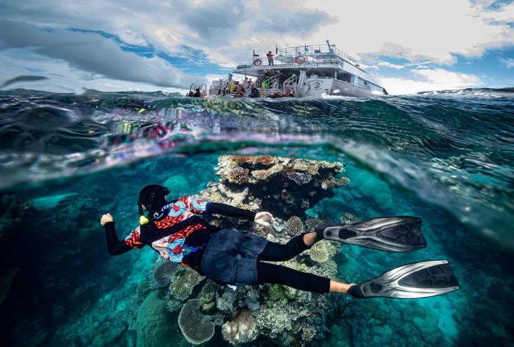 Dreamtime Dive and Snorkel dive guide snorkelling Dreamtime Dive and Snorkel dive guide snorkelling