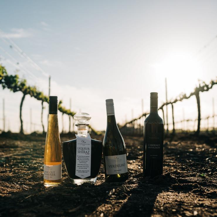 Vineyard grounds of Olive Farm Wines, Swan Valley WA © Boomtown Pictures