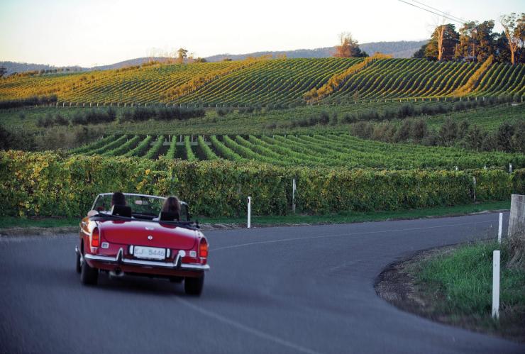 Car driving along the Tamar Valley Wine Route © Tourism Tasmania/Tamar Valley Wine Route Car driving along the Tamar Valley Wine Route © Tourism Tasmania/Tamar Valley Wine Route