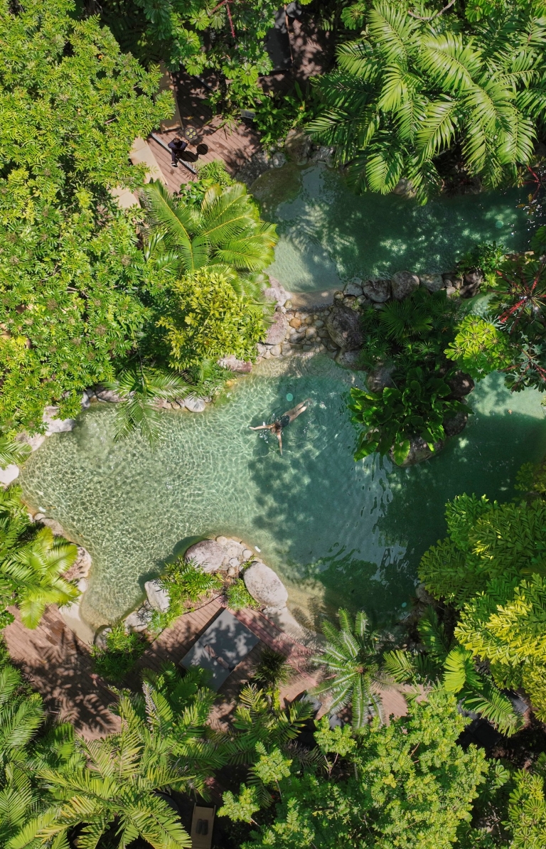Silky Oaks Lodge, Mossman, Queensland © Tourism and Events Queensland Silky Oaks Lodge, Mossman, Queensland © Tourism and Events Queensland