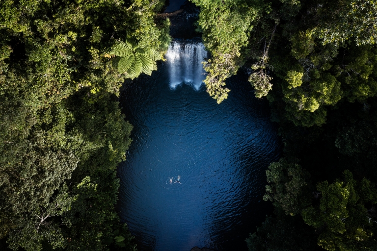Millaa Millaa Falls, Millaa Millaa, QLD © Tourism and Events Queensland Millaa Millaa Falls, Millaa Millaa, QLD © Tourism and Events Queensland