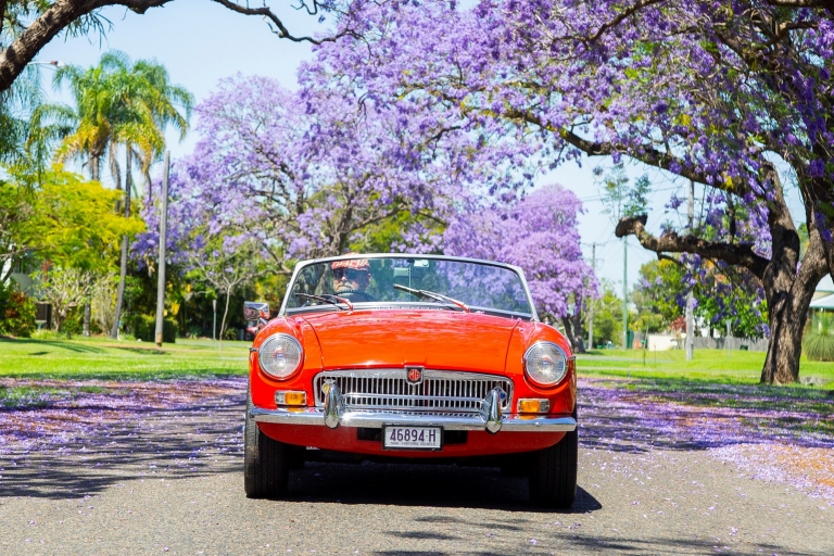 Vintage red car driving down a road with jacarandas in bloom © Destination NSW Vintage red car driving down a road with jacarandas in bloom © Destination NSW