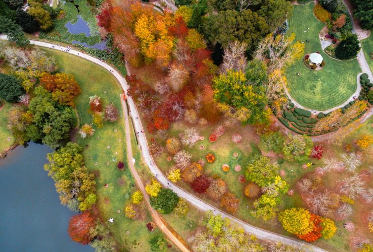 An aerial view of Mount Lofty Botanic Garden © South Australia An aerial view of Mount Lofty Botanic Garden © South Australia
