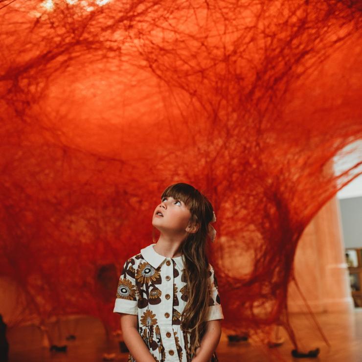 Child looking at exhibition at the Art Gallery of South Australia © Megan Crabb Child looking at exhibition at the Art Gallery of South Australia © Megan Crabb