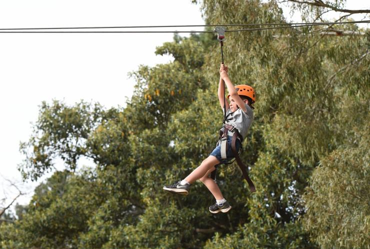 TreeClimb, Adelaide, South Australia © TreeClimb Adelaide TreeClimb, Adelaide, South Australia © TreeClimb Adelaide