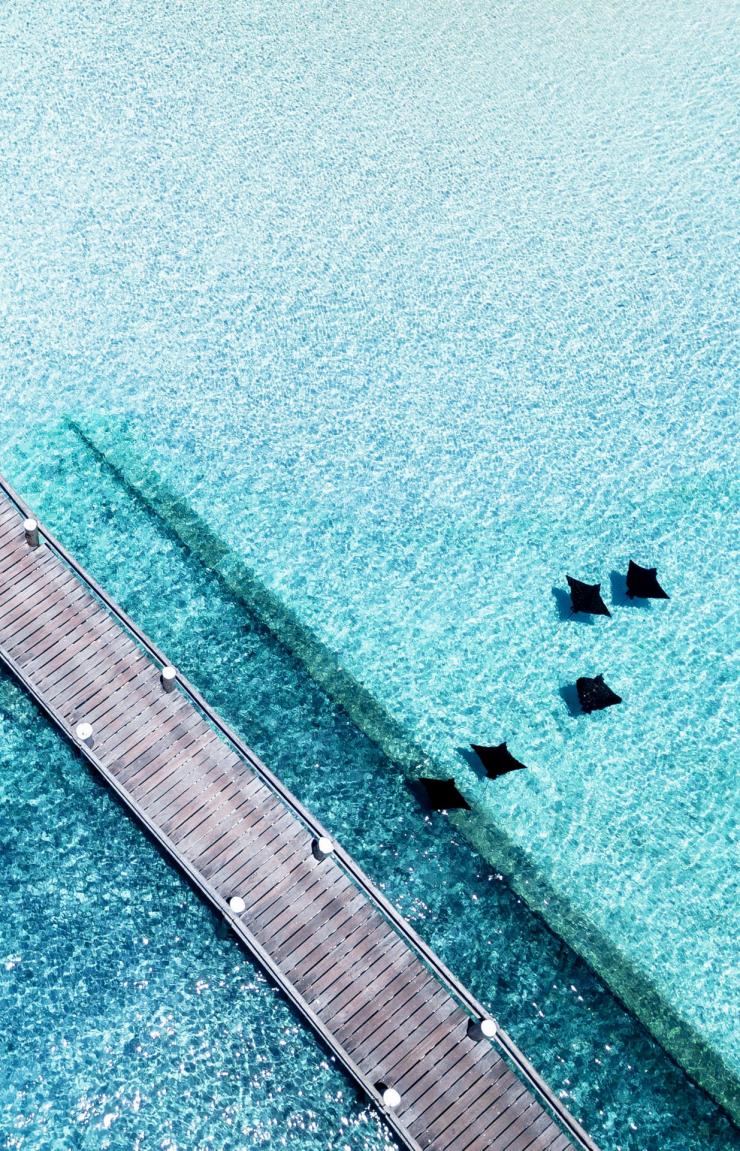Birds' eye view, Jetty, Heron Island, QLD © James Vodicka Birds' eye view, Jetty, Heron Island, QLD © James Vodicka