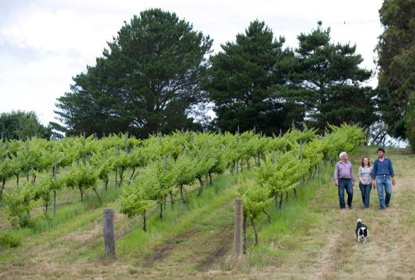 Vineyards of Helm Wines in Murrumbateman © Helm Wines/Id Photographics, Irene Dowdy