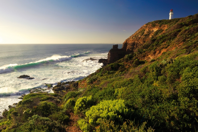 Cape Schanck Boardwalk, Mornington Peninsula, VIC © Mornington Peninsula Regional Tourism Cape Schanck Boardwalk, Mornington Peninsula, VIC © Mornington Peninsula Regional Tourism