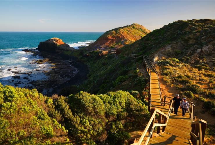 Cape Schanck Boardwalk, Mornington Peninsula, VIC © Mornington Peninsula Regional Tourism Cape Schanck Boardwalk, Mornington Peninsula, VIC © Mornington Peninsula Regional Tourism