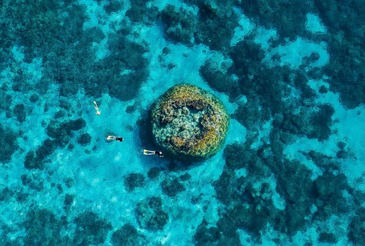 Wilson Island, Queensland © Tourism and Events Queensland Wilson Island, Queensland © Tourism and Events Queensland