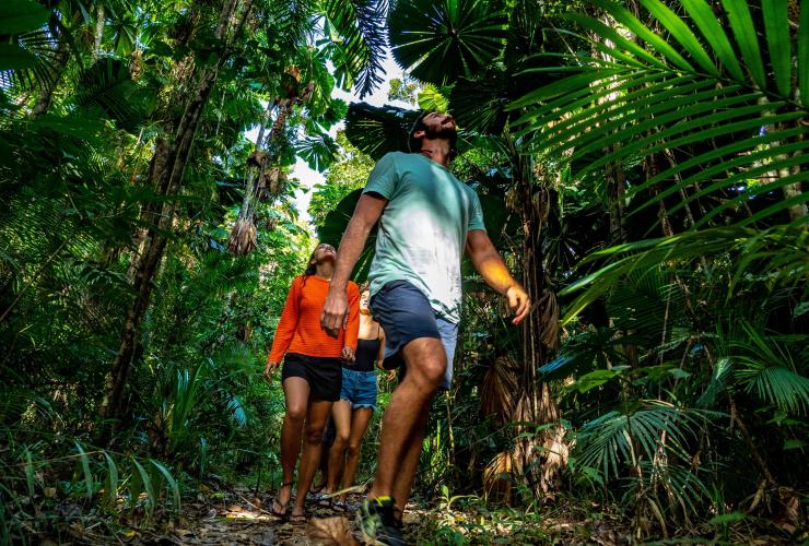 Visitors walking through the rainforest on a Daintree Tour © Daintree Tours Visitors walking through the rainforest on a Daintree Tour © Daintree Tours