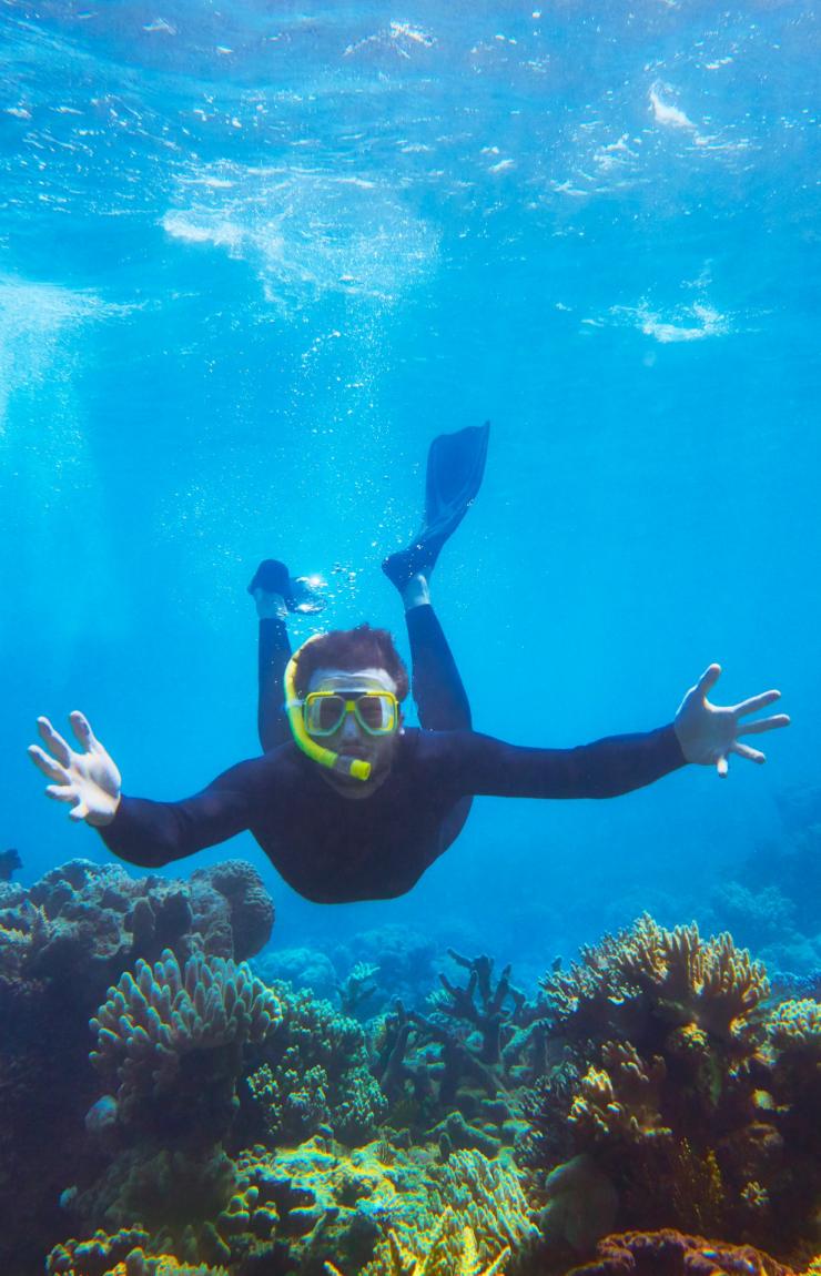 Great Barrier Reef, QLD © Tourism Australia Great Barrier Reef, QLD © Tourism Australia