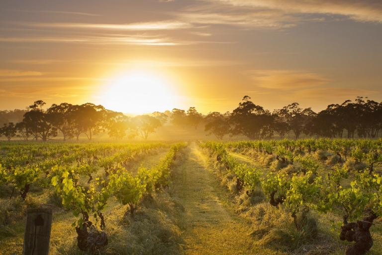 Henschke, Mount Edelstone Vineyard, Barossa Valley, South Australia © Henschke and Co. Henschke, Mount Edelstone Vineyard, Barossa Valley, South Australia © Henschke and Co.