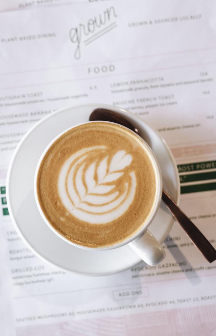 Grown, West End, Queensland © Savannah van der Niet Grown, West End, Queensland © Savannah van der Niet