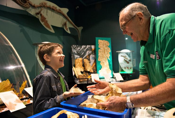 A visitor checks out bones with the help of a volunteer at the Museum and Art Gallery of the Northern Territory © Tourism NT/Shaana McNaught A visitor checks out bones with the help of a volunteer at the Museum and Art Gallery of the Northern Territory © Tourism NT/Shaana McNaught